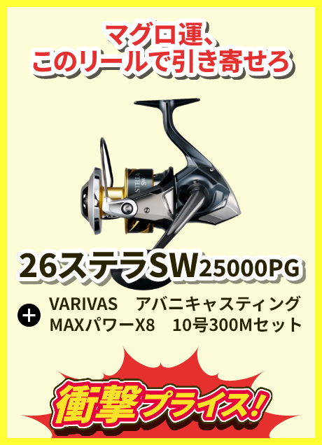 26ステラSW25000PG