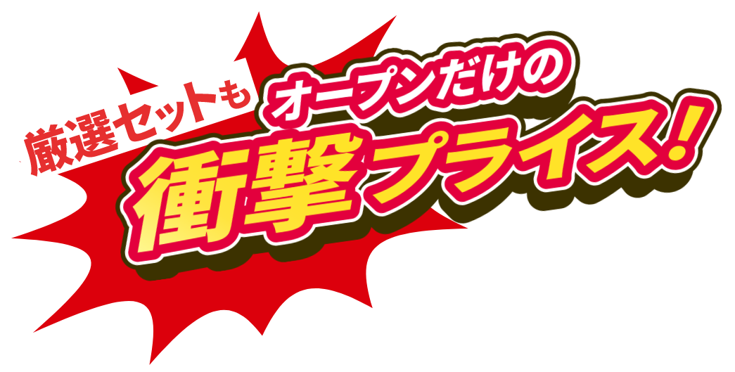 厳選セットもオープンだけの衝撃プライス！