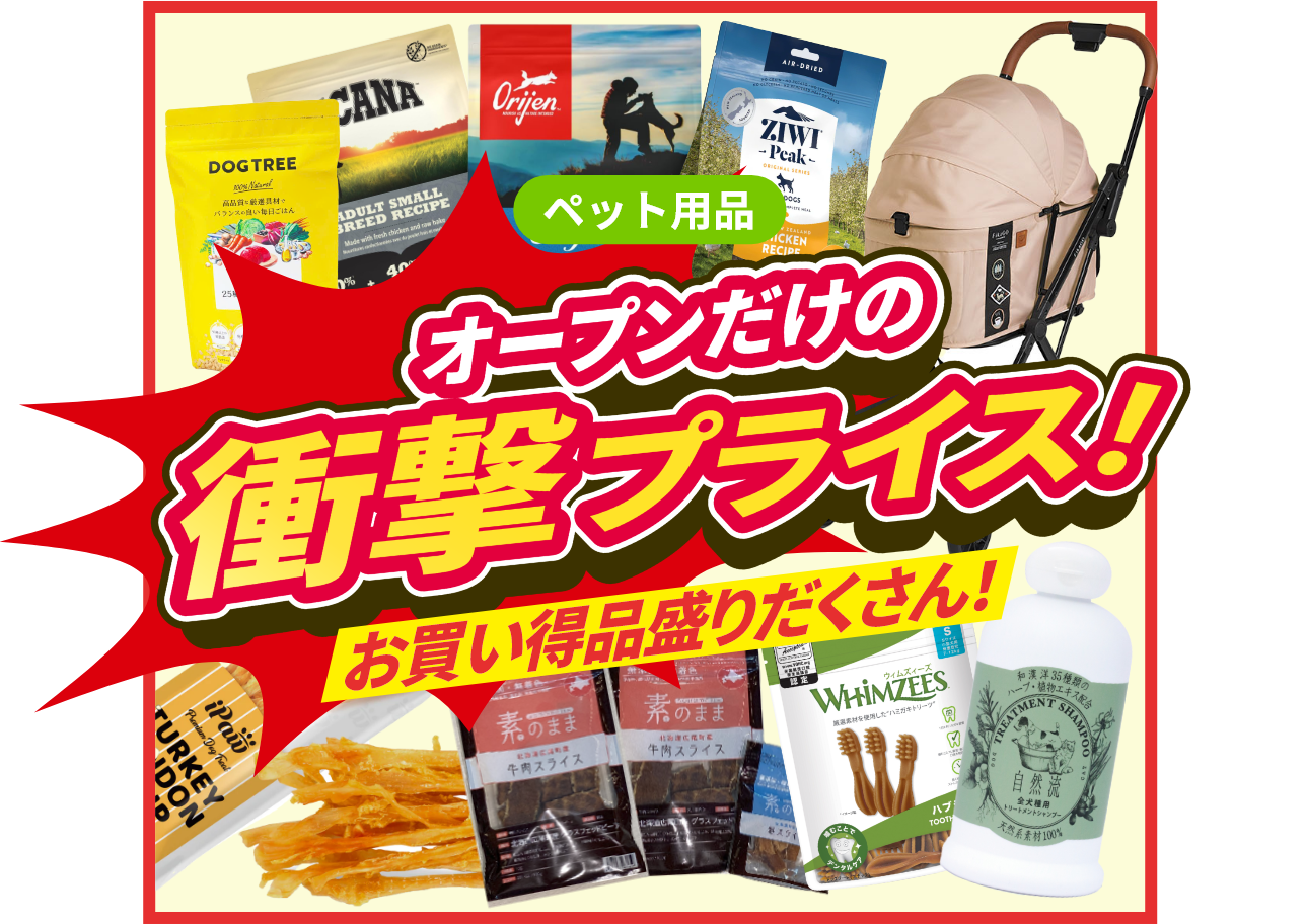 オープンだけの衝撃プライス！